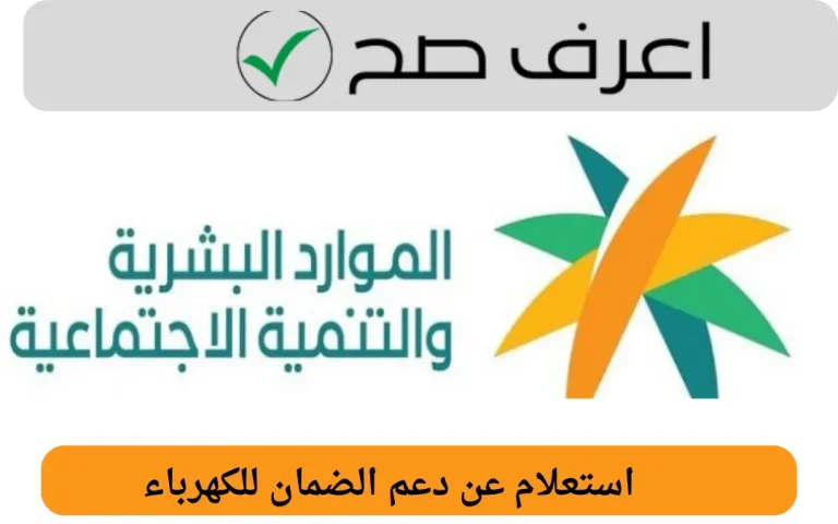 استعلام عن دعم الضمان للكهرباء